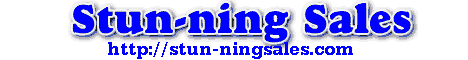 Stun-ning Sales Gift Store